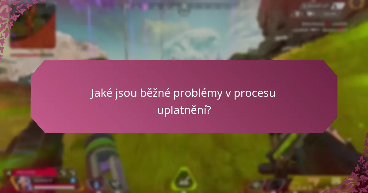 Jaké jsou běžné problémy v procesu uplatnění?